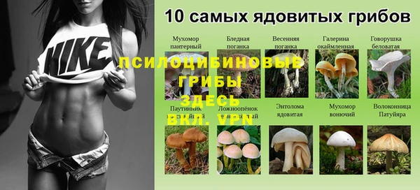 мет Краснослободск