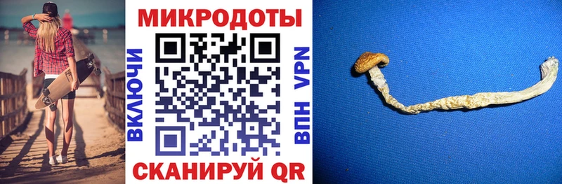 Купить закладки Нижнеудинск Галлюциногенные грибы GOLDEN TEACHER