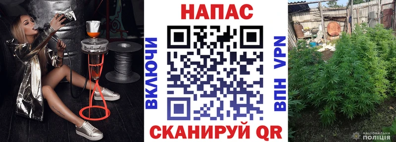 Канабис семена  Купить где  Нижнеудинск 